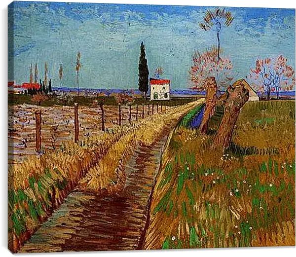 Постер на подрамнике - Path Through a Field with Willows. Винсент Ван Гог