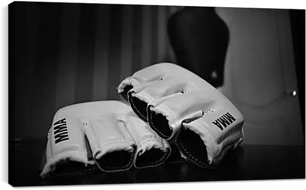 Постер на подрамнике - MMA.