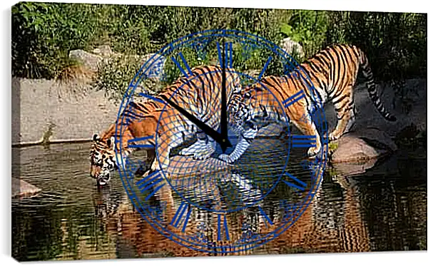 Часы картина - Два коричневых тигра. Животные. Бенгальские тигры