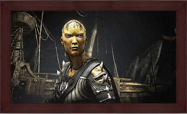 Картина в раме - Mortal Kombat X