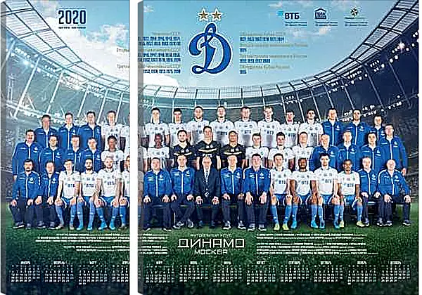 Модульная картина - ФК Динамо Москва. FC Dynamo Moscow