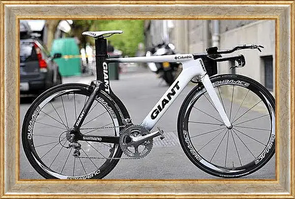 Картина в раме - Чёрно-белый велосипед