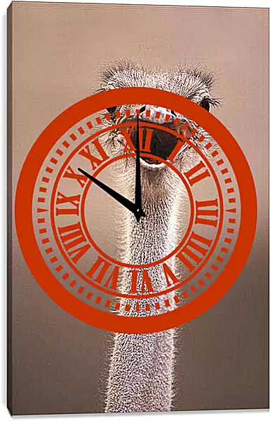 Часы картина - Ostrich - Страус