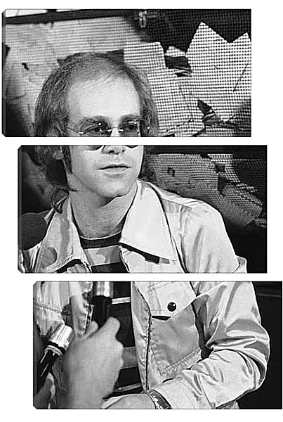 Модульная картина - Элтон Джон. Elton John