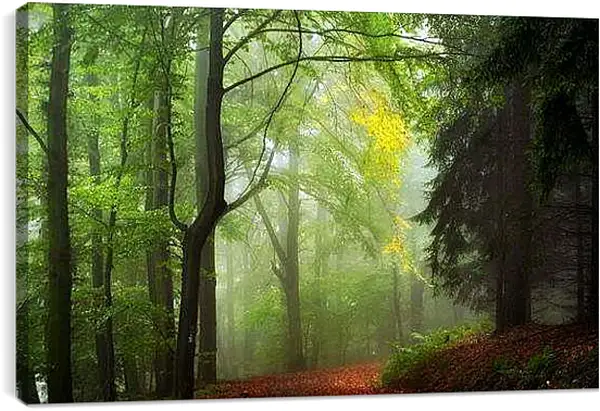 Постер на подрамнике - Осень