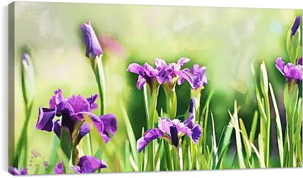 Постер на подрамнике - Ирисы
