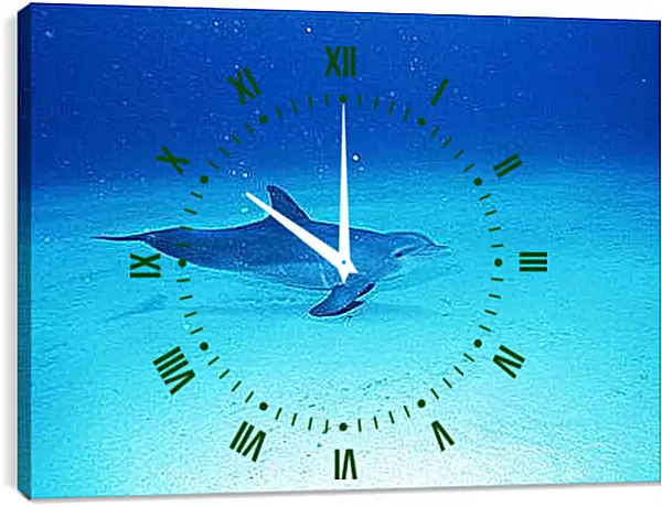 Часы картина - Дельфины