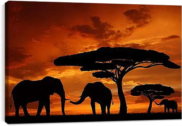 Постер на подрамнике - Африка