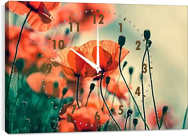 Часы картина - Маки