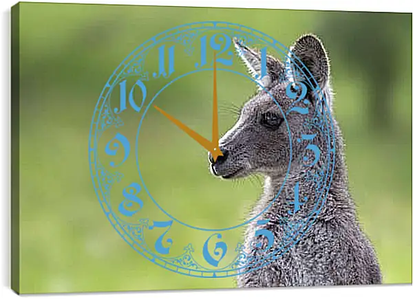 Часы картина - Кенгуру