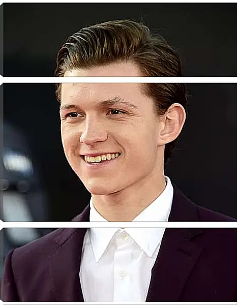 Модульная картина - Том Холланд. Tom Holland