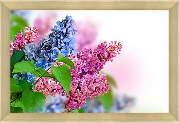 Картина в раме - Цветная сирень