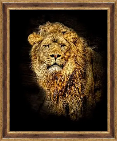 Картина в раме - лев