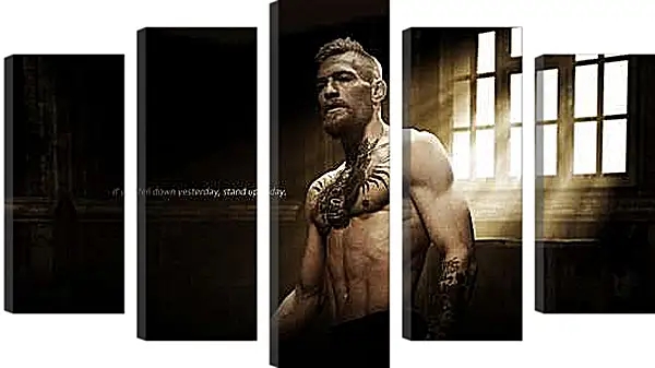 Модульная картина - UFC. MMA. Conchur Mac Greagoir. Конор МакГрегор.