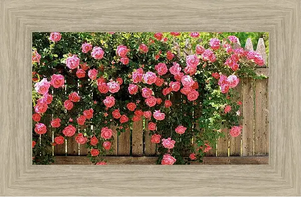 Картина в раме - Весна