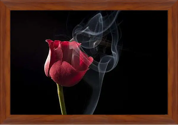 Картина в раме - Красная роза