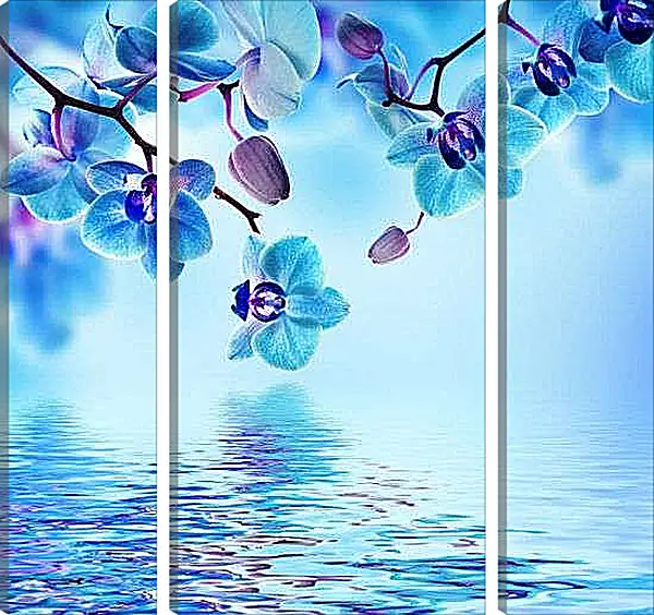 Модульная картина - Голубая орхидея над водой