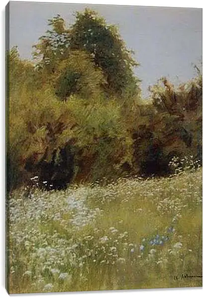 Постер на подрамнике - Опушка леса. Левитан Исаак