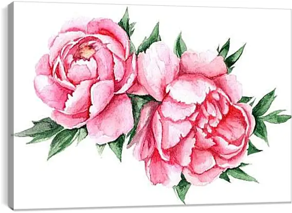 Постер на подрамнике - Пионы