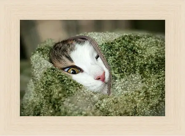 Картина в раме - Портрет кошки на зеленом фоне