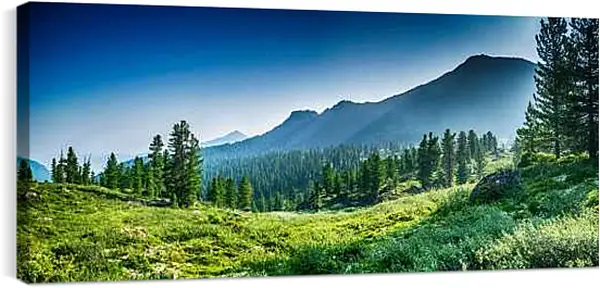 Постер на подрамнике - Горы и лес