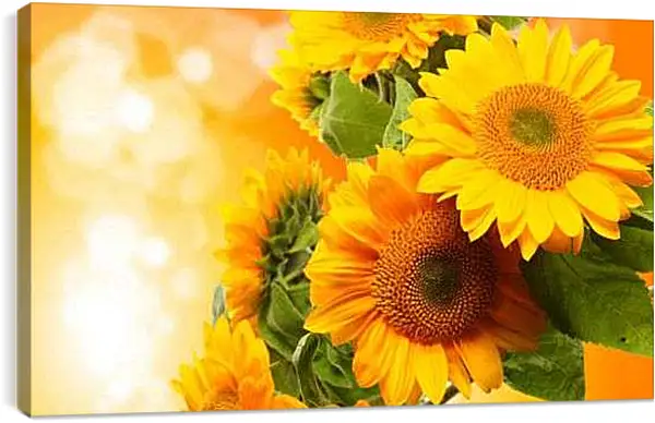 Постер на подрамнике - Букет подсолнухов
