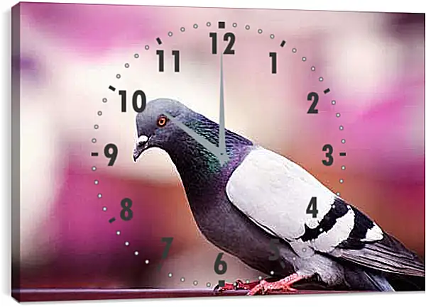 Часы картина - Голубь