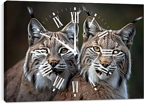 Часы картина - Рыси