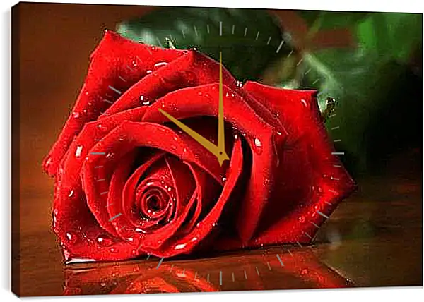 Часы картина - Красная роза с каплями воды
