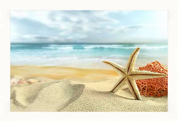 Картина в раме - Морская звезда