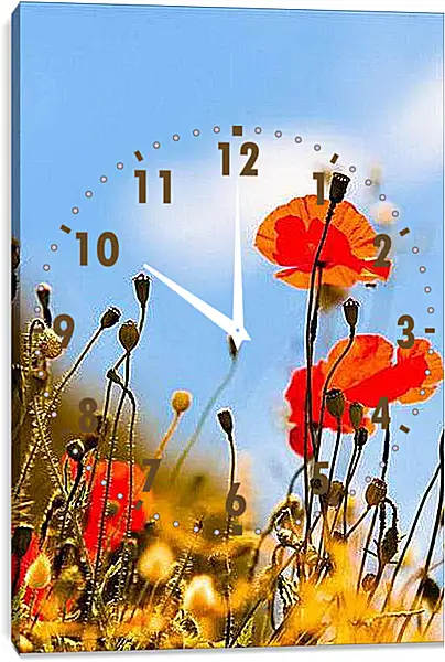 Часы картина - Маки