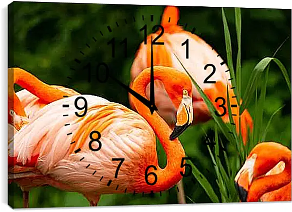 Часы картина - Фламинго в траве