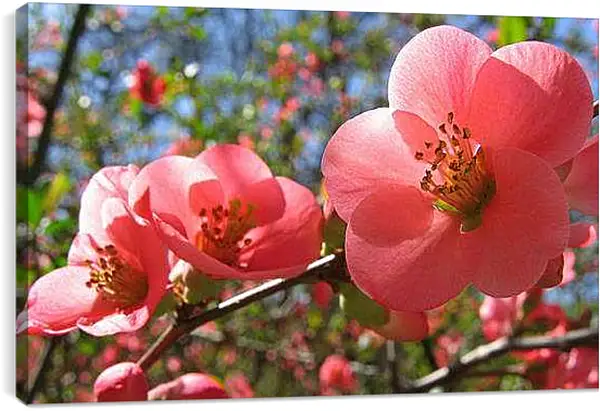 Постер на подрамнике - Весна