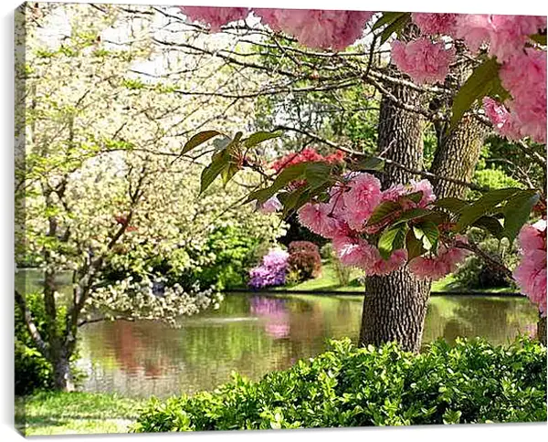 Постер на подрамнике - Цветущий весенний сад