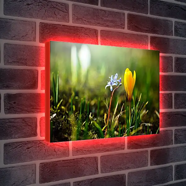 Лайтбокс световая панель - Весна