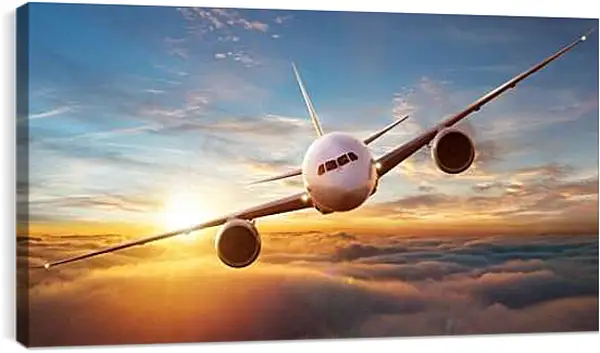 Постер на подрамнике - Летящий самолет