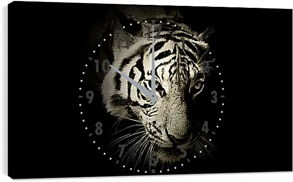 Часы картина - Белый тигр. темнота