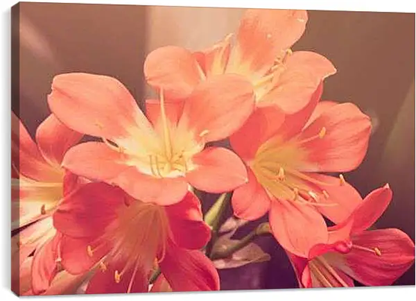 Постер на подрамнике - персиковые цветы