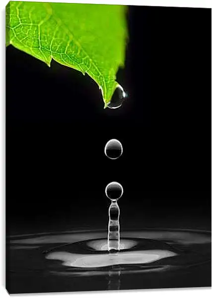 Постер на подрамнике - Капли