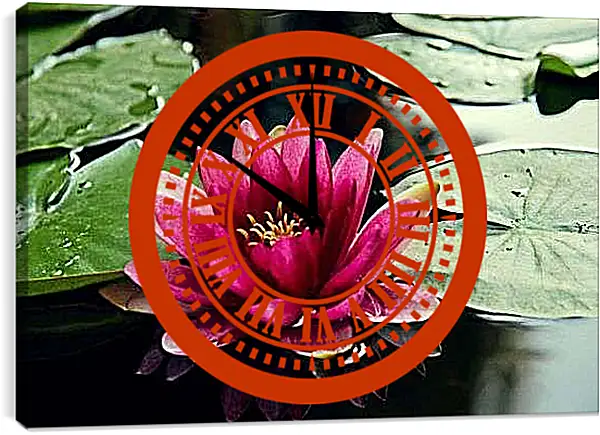 Часы картина - Яркий лотос
