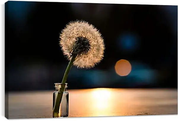 Постер на подрамнике - Белый одуванчик в баночке
