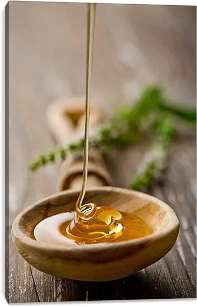 Постер на подрамнике - Мед в ложке. Сладкое мгновение.