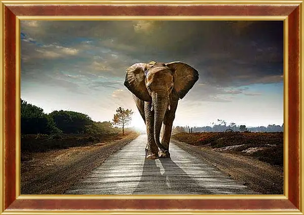 Картина в раме - Слон