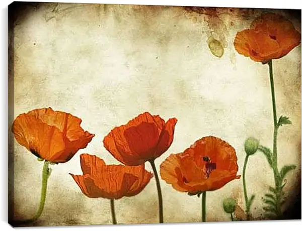 Постер на подрамнике - Желтые маки