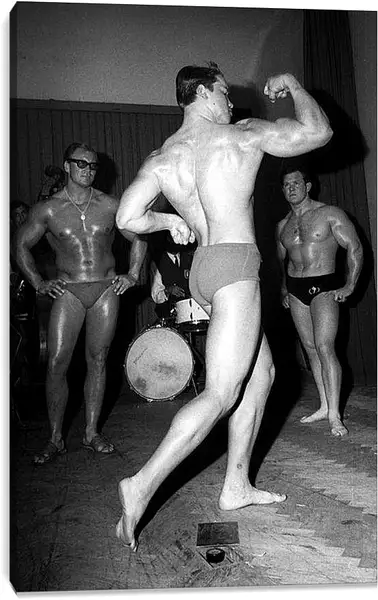 Постер на подрамнике - Арнольд Шварценеггер (Arnold Schwarzenegger)