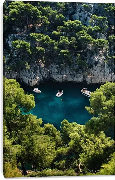 Постер на подрамнике - Озеро в окружении зелени