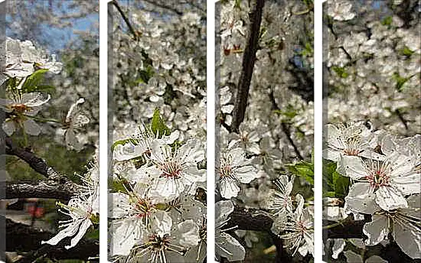 Модульная картина - Весна