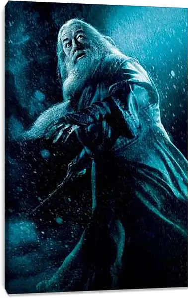 Постер на подрамнике - Гарри Поттер и Принц Полукровка