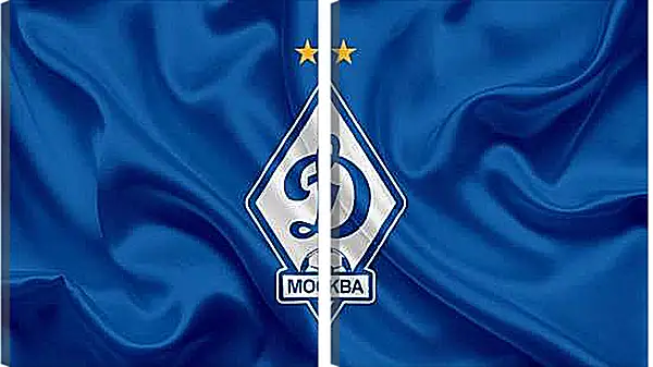 Модульная картина - Эмблема ФК Динамо Москва