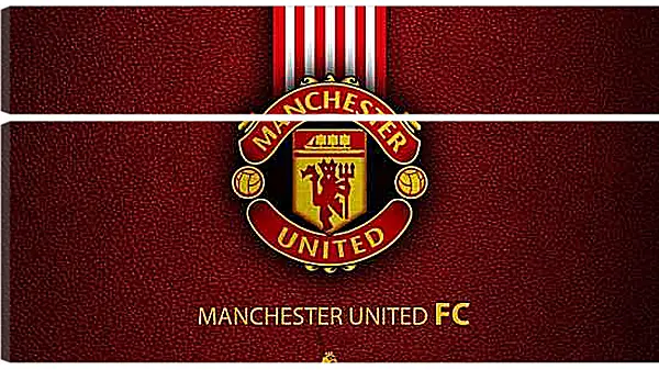 Модульная картина - Эмблема ФК Манчестер Юнайтед